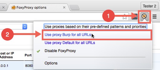 burp proxy free edition