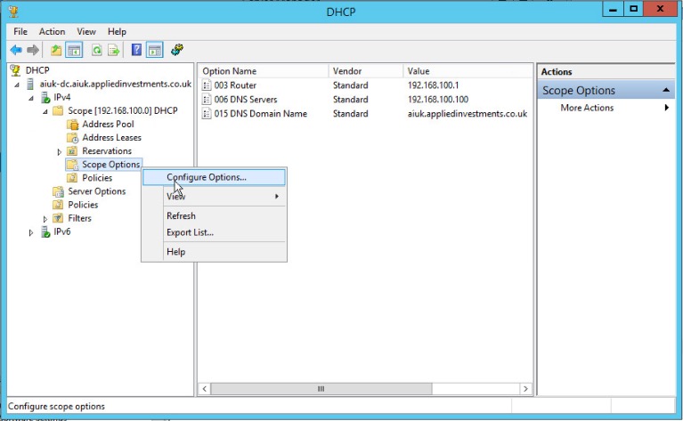 DHCP Configure Options