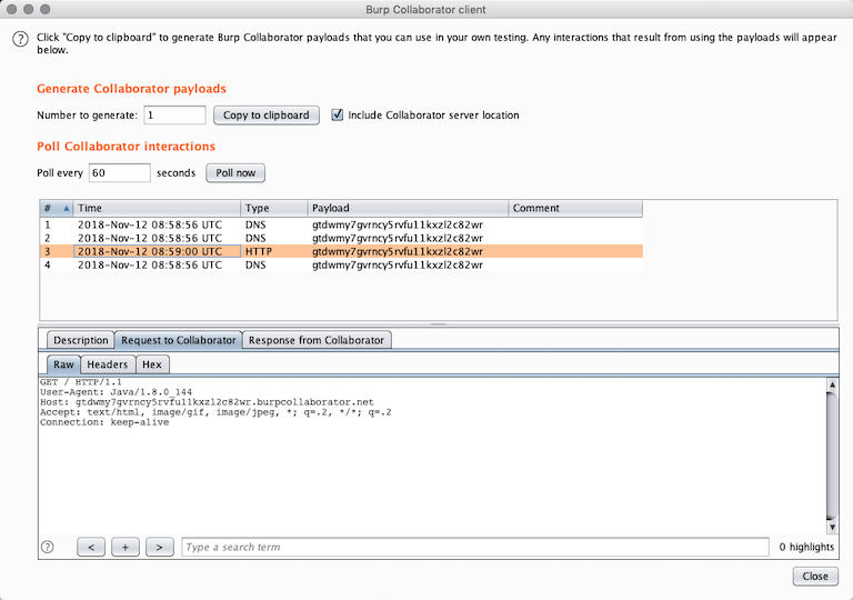 Burp Collaborator client hits